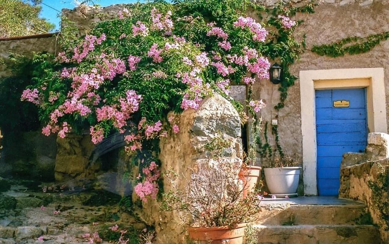 Le Patio. Casa Mucchielli Acomodação com café da manhã Corbara Exterior foto